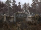 43256262