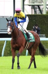 images - 2025-07-19T215512.698