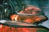 battery pods