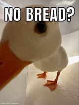 1736298543873399