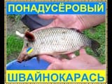 Fa2cc039925cc151ac18db22f1b43e26