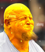 1733130147732639
