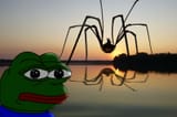 pepe_big_spider