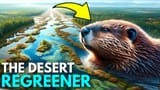 maxresdefault-4194627291