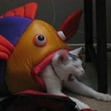 Cat being devoured
