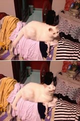1612062470756
