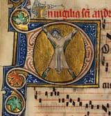 St.andrewscross