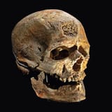 Cro-Magnon_1
