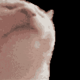 1729255136833624