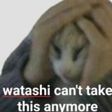 1752950357876755