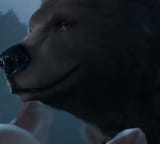 bear smile