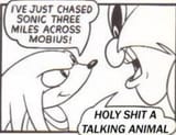 talkinganimal
