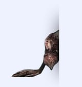 1470054289724
