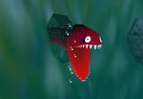 Eel
