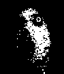 1450283055056