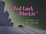 bad luck blackie