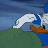Dolan can&#039;t fap to this