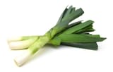 shutterstock_234785131-min