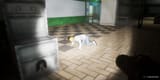 abiotic-factor-jerome-the-coworker-feed-featured