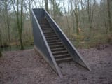 Eerie-Stairs-in-the-forest