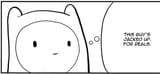finn