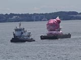 doro-takes-over-nyc-v0-1r8m8tcbdodf1