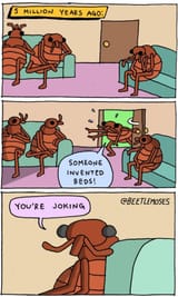 lol