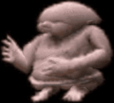 1752975691022177