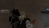 warpaint accepted 