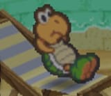 koopa