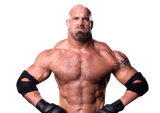 Goldberg_pro