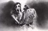 Scary Stories the Bride
