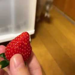 1752568745765006_thumb.jpg