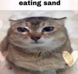 1745613257682701