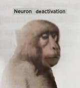 1748039185080259