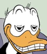 duck