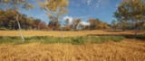 Field