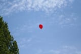 Escaped-balloon-by-Ruth-Hartnup