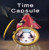 Time Capsule