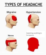 1533609169456