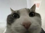 1734522931165576