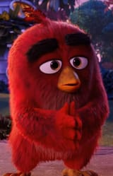 angry nigga
