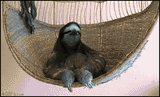 Sloth2