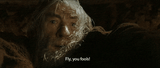 Gandalf_ Fly, you fools!