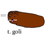1737710540317186
