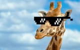 deal with it
