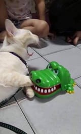 4654656