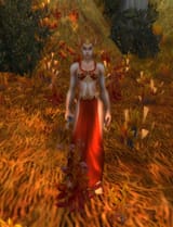867544-blood-elf-surveyor