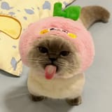 Bleh