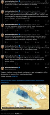 sexbot patriarchy